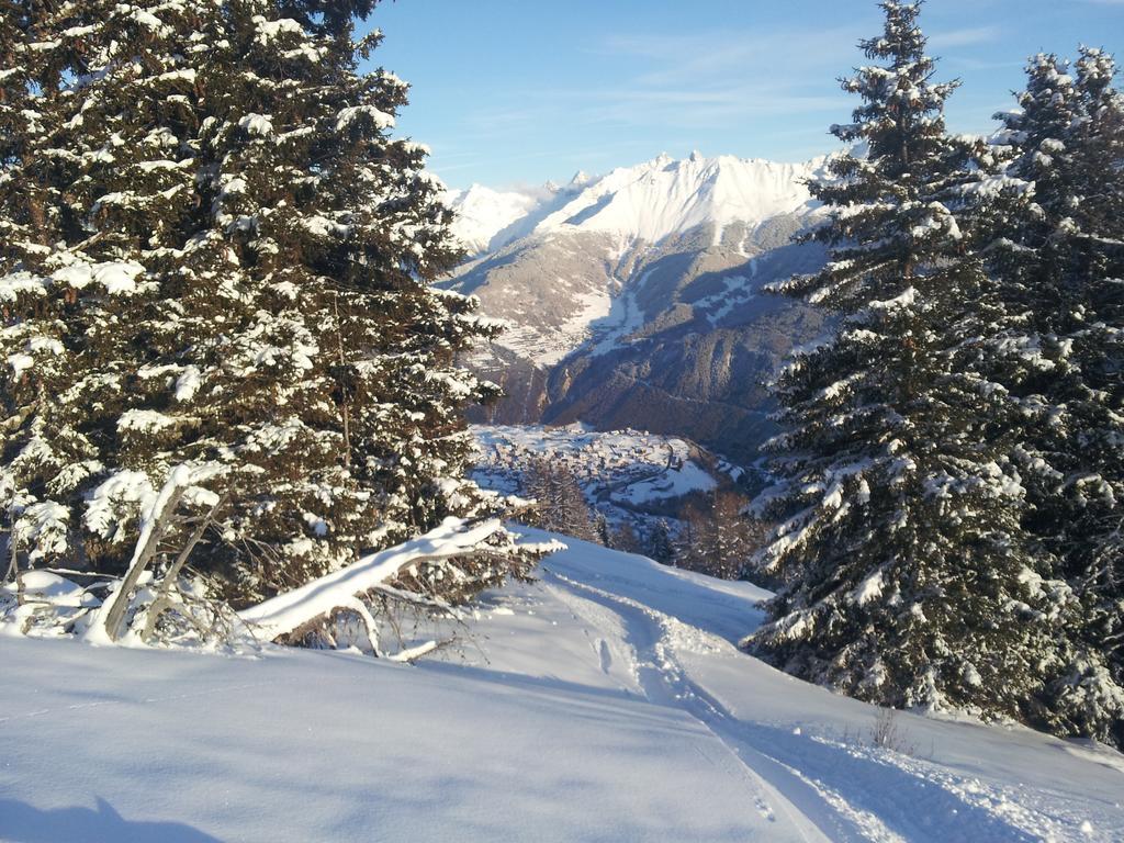 Panoramablick Kaunerberg