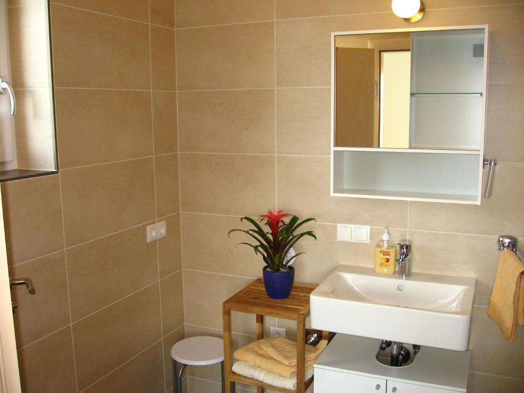 Apartament Panoramablick