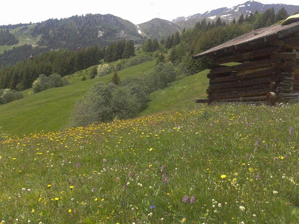 Panoramablick Apartament Kaunerberg