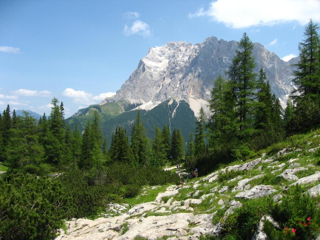 Panoramablick